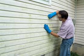 Best Storm Damage Siding Repair  in Parma, OH